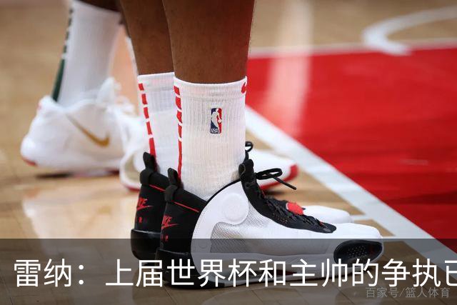雷纳：上届世界杯和主帅的争执已经过去，当时太年轻但现在更成熟